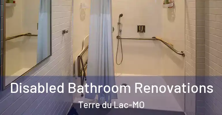 inner Bathroom imggen Disabled Bathroom Renovations Terre du Lac-MO