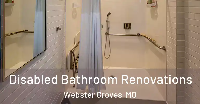 inner Bathroom imggen Disabled Bathroom Renovations Webster Groves-MO