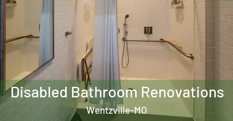 inner Bathroom imggen Disabled Bathroom Renovations Wentzville-MO