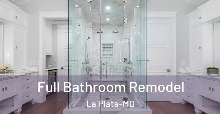 inner Bathroom imggen Full Bathroom Remodel La Plata-MO