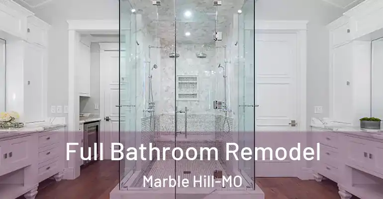 inner Bathroom imggen Full Bathroom Remodel Marble Hill-MO
