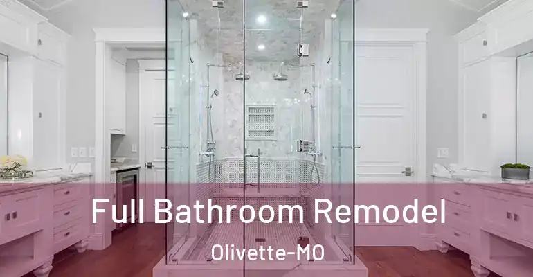 inner Bathroom imggen Full Bathroom Remodel Olivette-MO