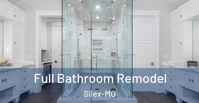 inner Bathroom imggen Full Bathroom Remodel Silex-MO