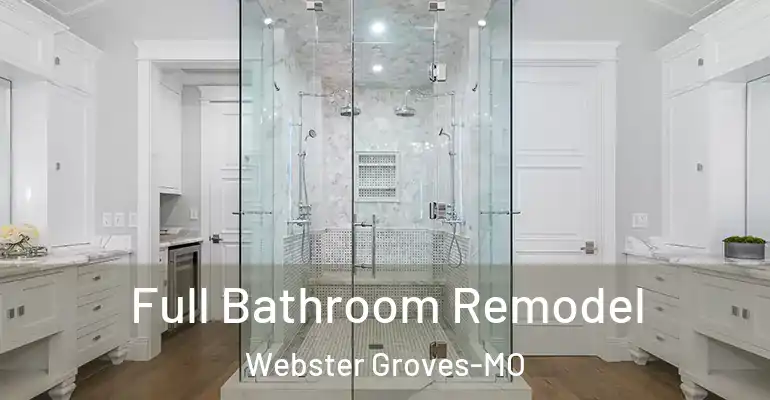 inner Bathroom imggen Full Bathroom Remodel Webster Groves-MO