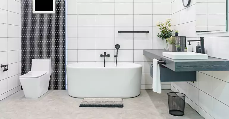 Bathroom Leak Repair in St. Charles