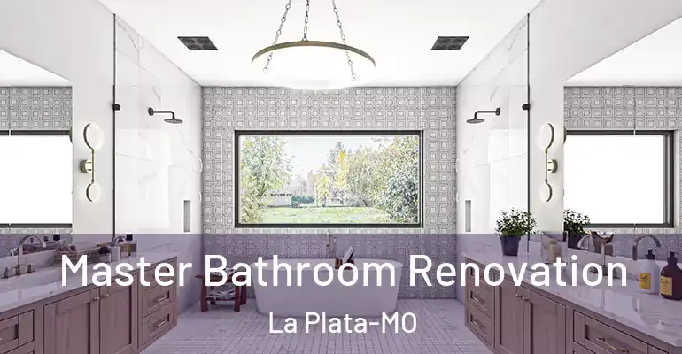 inner Bathroom imggen Master Bathroom Renovation La Plata-MO