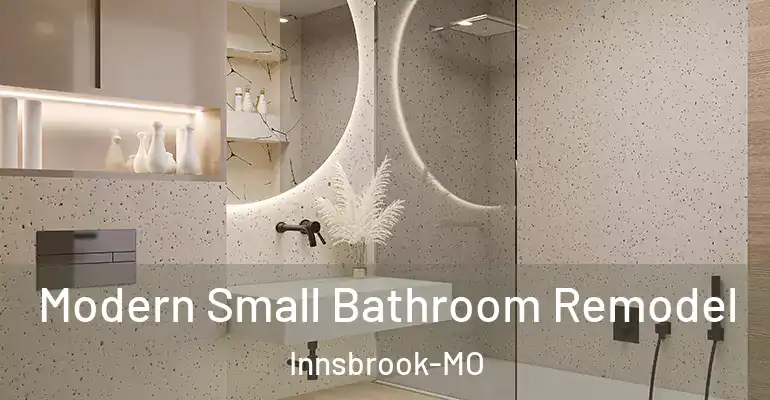 inner Bathroom imggen Modern Small Bathroom Remodel Innsbrook-MO