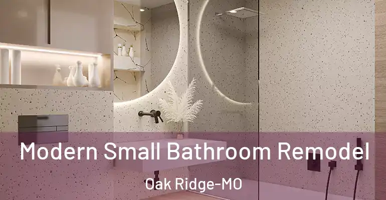 inner Bathroom imggen Modern Small Bathroom Remodel Oak Ridge-MO