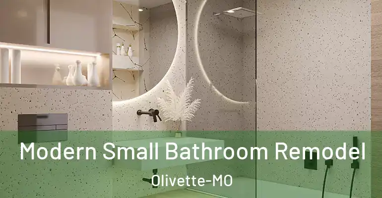 inner Bathroom imggen Modern Small Bathroom Remodel Olivette-MO