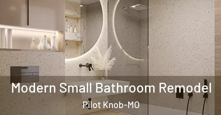 inner Bathroom imggen Modern Small Bathroom Remodel Pilot Knob-MO