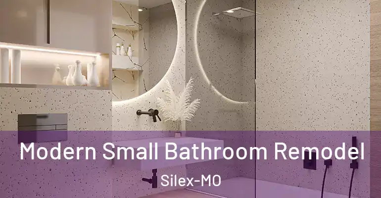 inner Bathroom imggen Modern Small Bathroom Remodel Silex-MO