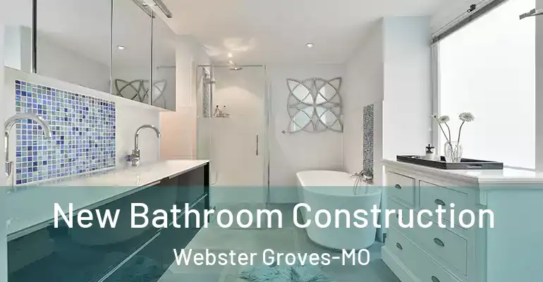 inner Bathroom imggen New Bathroom Construction Webster Groves-MO