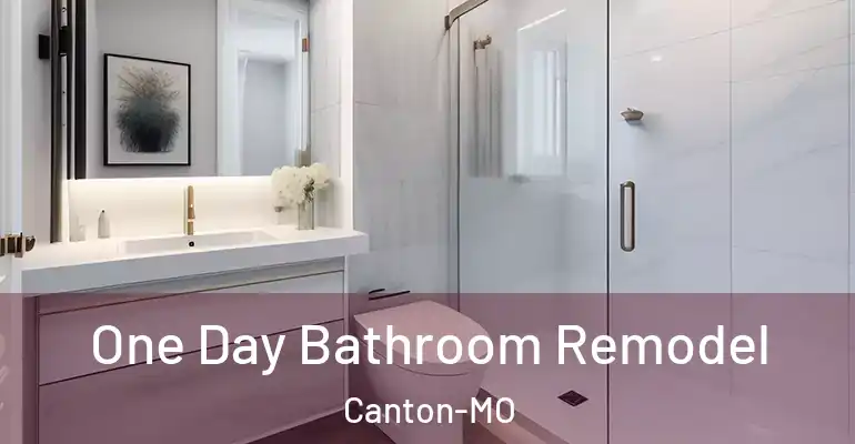 inner Bathroom imggen One Day Bathroom Remodel Canton-MO