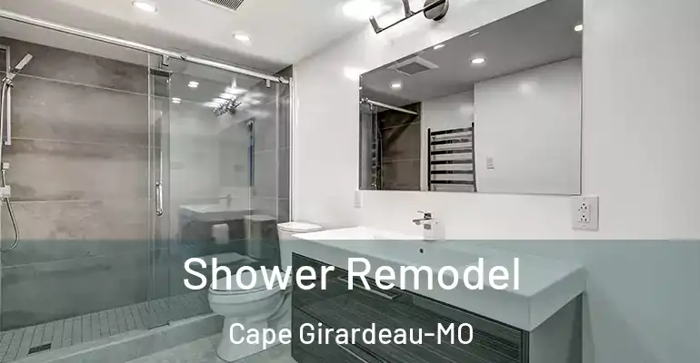 inner Bathroom imggen Shower Remodel Cape Girardeau-MO