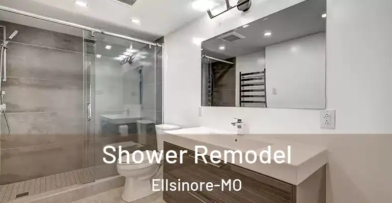 inner Bathroom imggen Shower Remodel Ellsinore-MO