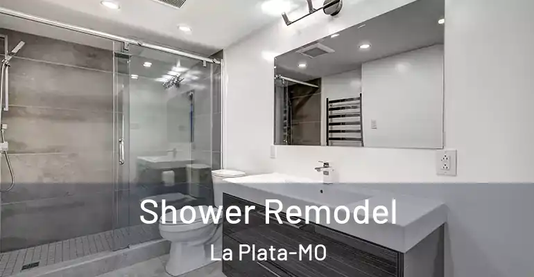 inner Bathroom imggen Shower Remodel La Plata-MO