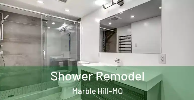 inner Bathroom imggen Shower Remodel Marble Hill-MO