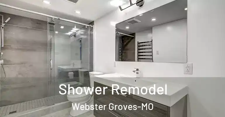 inner Bathroom imggen Shower Remodel Webster Groves-MO