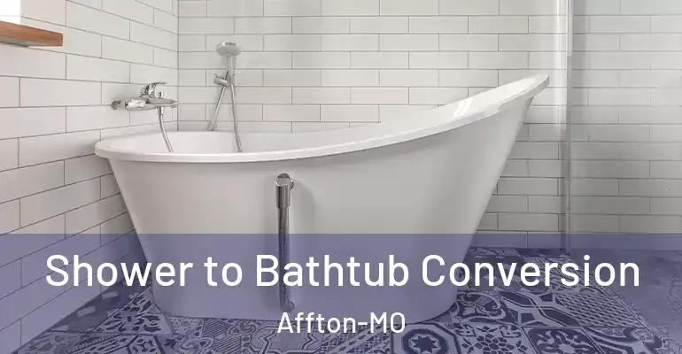 inner Bathroom imggen Shower to Bathtub Conversion Affton-MO