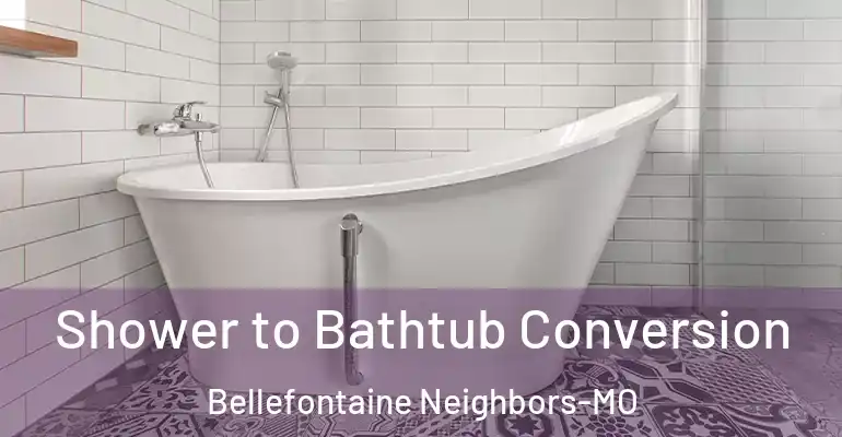 inner Bathroom imggen Shower to Bathtub Conversion Bellefontaine Neighbors-MO