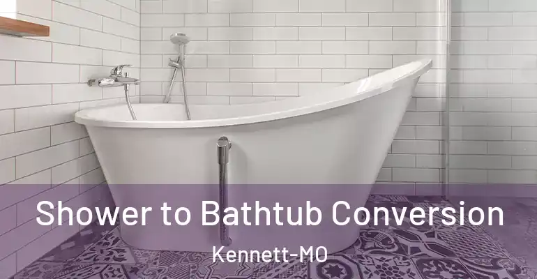 inner Bathroom imggen Shower to Bathtub Conversion Kennett-MO