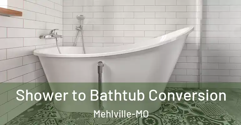 inner Bathroom imggen Shower to Bathtub Conversion Mehlville-MO