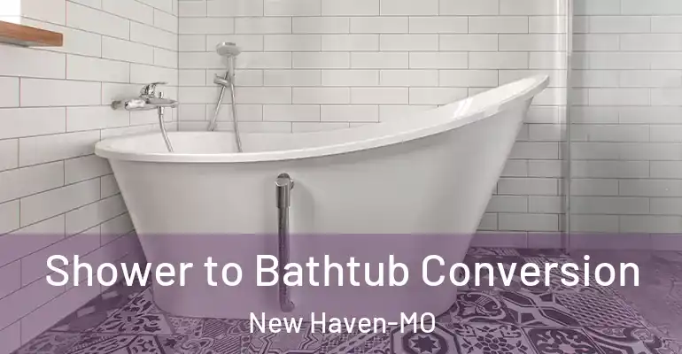 inner Bathroom imggen Shower to Bathtub Conversion New Haven-MO