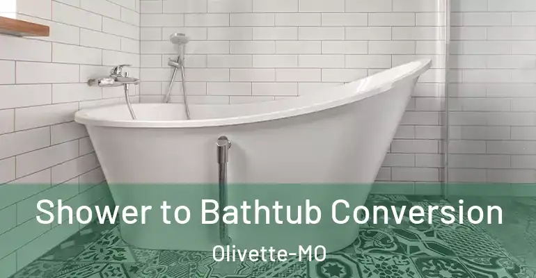 inner Bathroom imggen Shower to Bathtub Conversion Olivette-MO