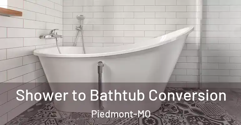 inner Bathroom imggen Shower to Bathtub Conversion Piedmont-MO