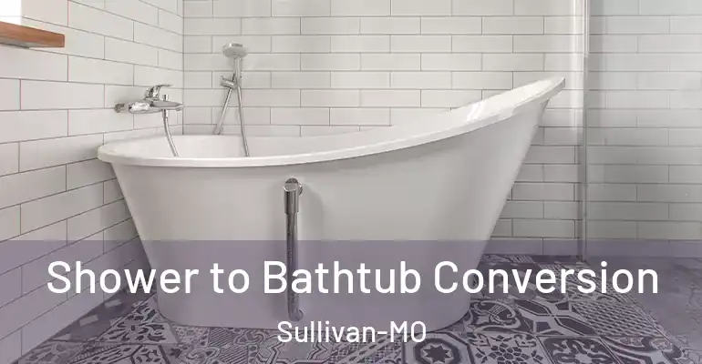 inner Bathroom imggen Shower to Bathtub Conversion Sullivan-MO