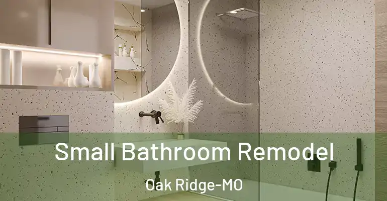 inner Bathroom imggen Small Bathroom Remodel Oak Ridge-MO
