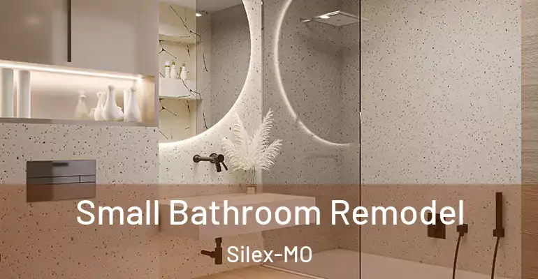 inner Bathroom imggen Small Bathroom Remodel Silex-MO