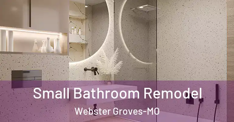 inner Bathroom imggen Small Bathroom Remodel Webster Groves-MO