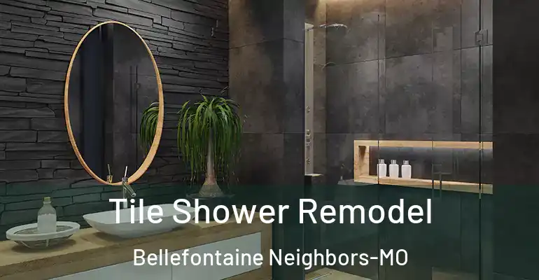 inner Bathroom imggen Tile Shower Remodel Bellefontaine Neighbors-MO