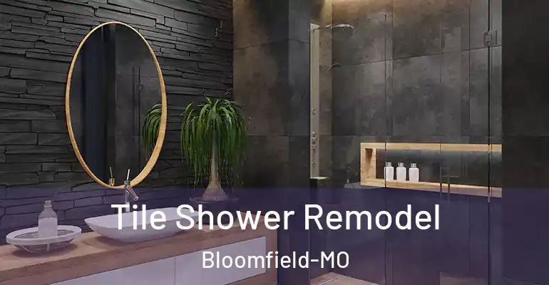 inner Bathroom imggen Tile Shower Remodel Bloomfield-MO