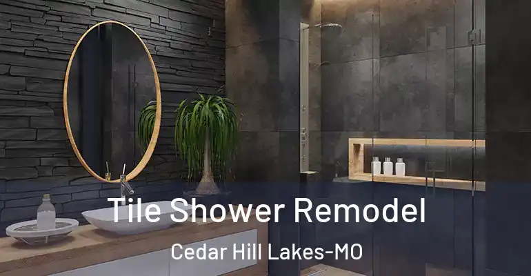 inner Bathroom imggen Tile Shower Remodel Cedar Hill Lakes-MO