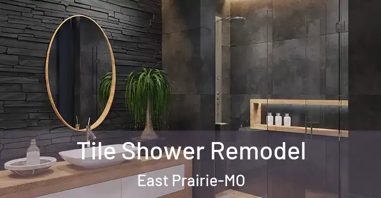 inner Bathroom imggen Tile Shower Remodel East Prairie-MO