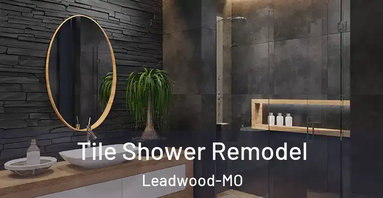inner Bathroom imggen Tile Shower Remodel Leadwood-MO