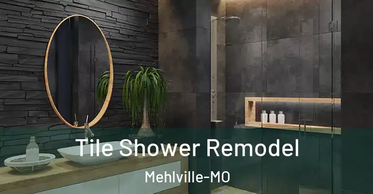 inner Bathroom imggen Tile Shower Remodel Mehlville-MO