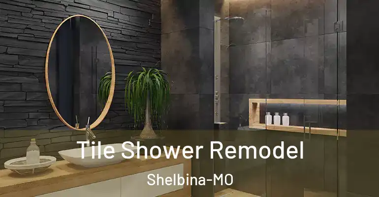 inner Bathroom imggen Tile Shower Remodel Shelbina-MO