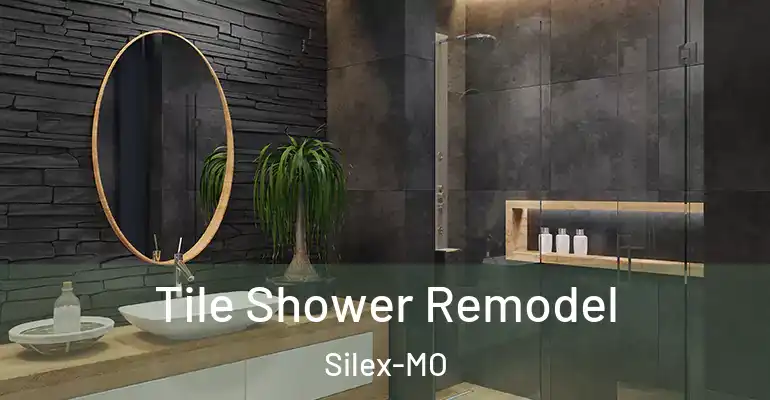 inner Bathroom imggen Tile Shower Remodel Silex-MO