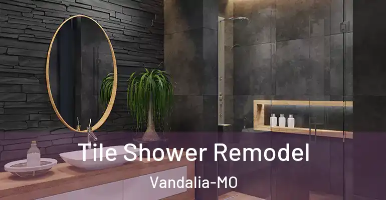 inner Bathroom imggen Tile Shower Remodel Vandalia-MO