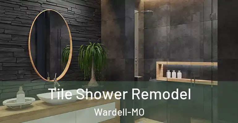 inner Bathroom imggen Tile Shower Remodel Wardell-MO
