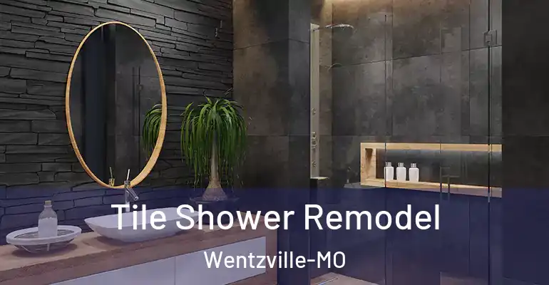 inner Bathroom imggen Tile Shower Remodel Wentzville-MO