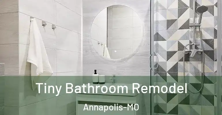 inner Bathroom imggen Tiny Bathroom Remodel Annapolis-MO