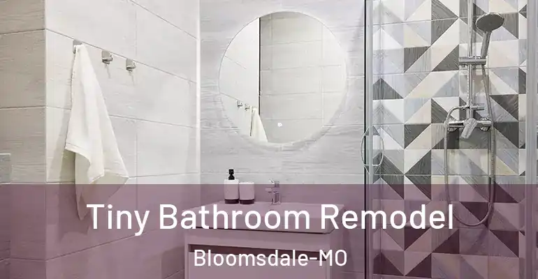 inner Bathroom imggen Tiny Bathroom Remodel Bloomsdale-MO