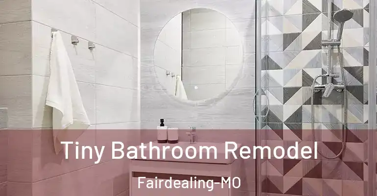 inner Bathroom imggen Tiny Bathroom Remodel Fairdealing-MO