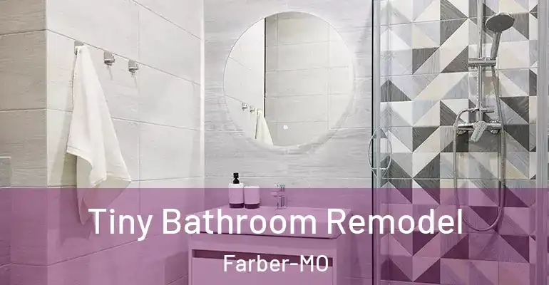 inner Bathroom imggen Tiny Bathroom Remodel Farber-MO