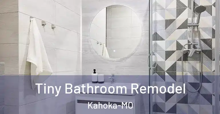 inner Bathroom imggen Tiny Bathroom Remodel Kahoka-MO