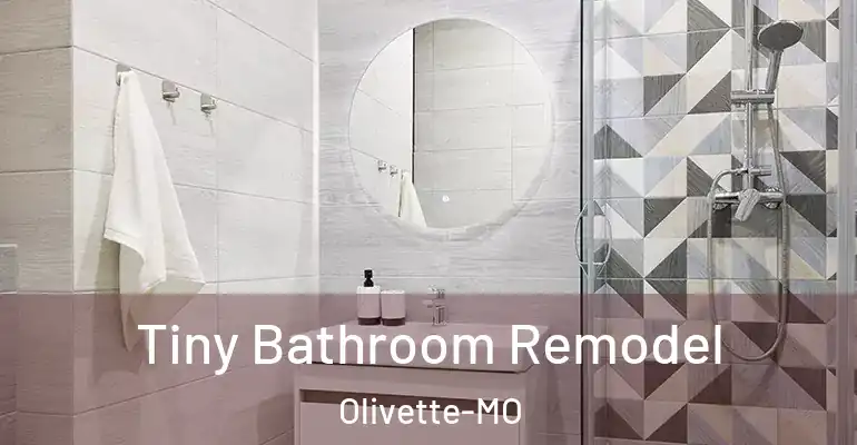 inner Bathroom imggen Tiny Bathroom Remodel Olivette-MO